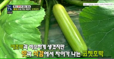 애호박 효능, 못난 호박이 잘난 효능을 가졌어요
