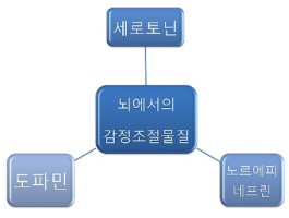 세로토닌이란 행복 호르몬/우울증