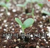 [성공비결]씨앗의법칙 7가지