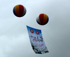 정읍, 구절초 축제