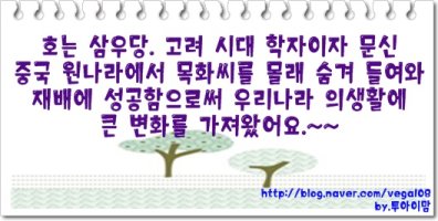 문익점의 목화씨
