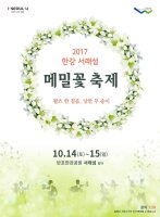 [사진속] 2017한강서래섬 메밀꽃 축제