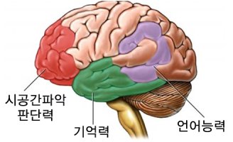 치매 관련주, 치매 테마주 관련 주도주 - 명문제약, 고려제약 등등