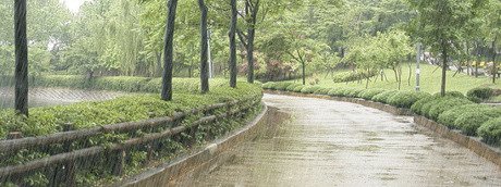 어리진 이미지