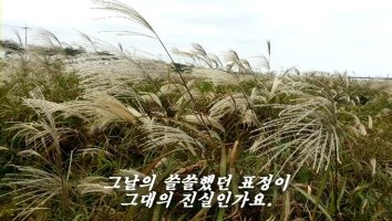 잊혀진 계절 - 이용 10월의 마지막 밤 노래 스마트폰 듣기