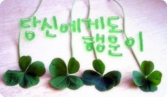 행운을 불러 오는말