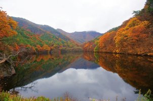 주산지의 가을