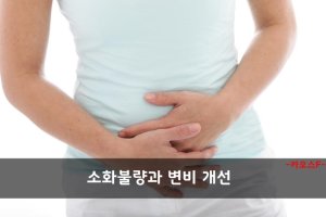 복식호흡효과 이보다 더 좋은게 있을까??