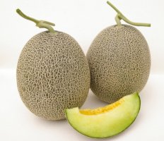 멜론의 영양과 효능 효과