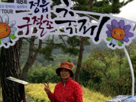 정읍 구절초축제.