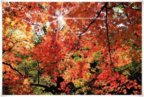 제63차 오대산 소금강계곡 단풍산행(10월11일 토요일)