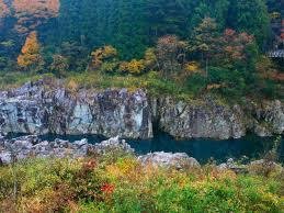 中山七里