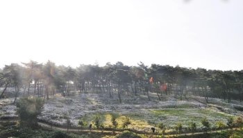 정읍 구절초 축제와 물돌이