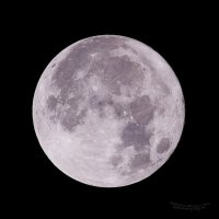 Super Moon ( 2016년 11월14일 밤 )