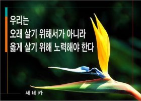 서로 소중히하며 사는 세상