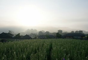 .8.4 하회마을, 병산서원, 옥연정사, 부용대, 겸암정사, 영주 무섬, 소수서원, 선비촌,