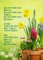 행복 이미지