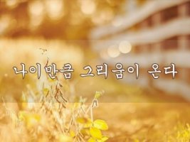나이만큼 그리움이 온다