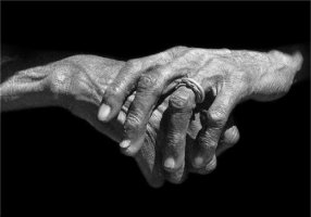 '손' 에 관한 시 모음