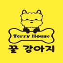 꿀강아지 테리하우스 이미지