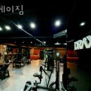 디데이짐 이미지