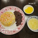 월드타이거즈 | 롯데월드 어드벤처 부산을 방문하다