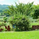 잔디마당 자동차 야영장 이미지