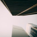 엘브이위본모터스 이미지