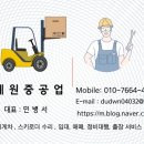 돈뜰꽃돼지