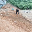 율암온천 이미지