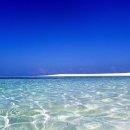 아름다운세상 이미지