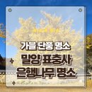 표충사주차장 | 밀양여행 가볼만한곳 가을 은행나무 명소 표충사 단풍구경 후기