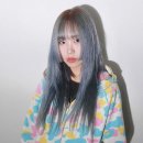 리치앤리치 노컷뉴스