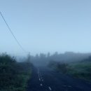 피스테라 이미지