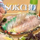 속초 중앙시장 회포장 방어회 맛집 한스키친