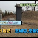 양노리 조세성묘, 조동점묘, 조완묘 | 역사다큐 / 조세성 / 조동점 / 조완 / 조선의 장군 / 평양 조씨 / 화성시 문화재