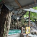 백운산장식당 | 수영하면서 백숙 먹을 수 있는 곳 추천 소귀골백운산장 내돈내산솔직후기