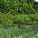 한덕농장 이미지