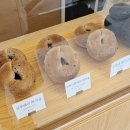 만천천길 | 춘천 베이글 카페, 산책하다 만난 장학리 &#39;스튜디베이글&#39;