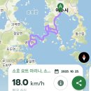 남해-310 | 2025 섬섬여수 그란폰도 후기라고 쓰고 메디오폰도 간 후기