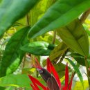 레드시크릿 이미지