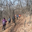 원적산길 이미지