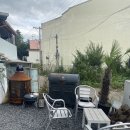 puppy lounge 이미지