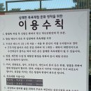 충남 공주시 가볼만한 곳 공주 한옥마을 무료 족욕체험장 카페 도화관