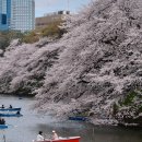 보물세상 이미지