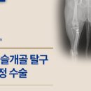 양덕동물병원 네이버블로그