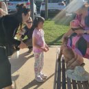 Playground | 멜번 가족여행 추천] Peter Scullin Reserve Playground 방문 후기해변 놀이터 놀이기구까지 완벽했던 하루