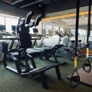 짐나지움 이미지