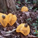 부광농장-2 이미지