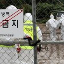 김진욱농장 이미지